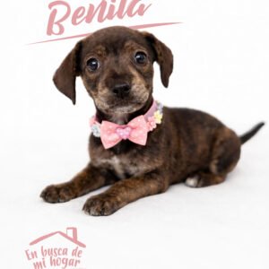 Benita