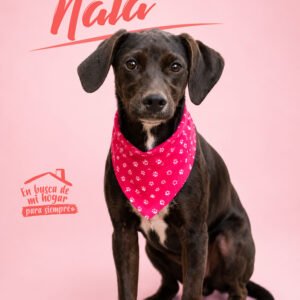 Nala