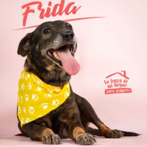Frida