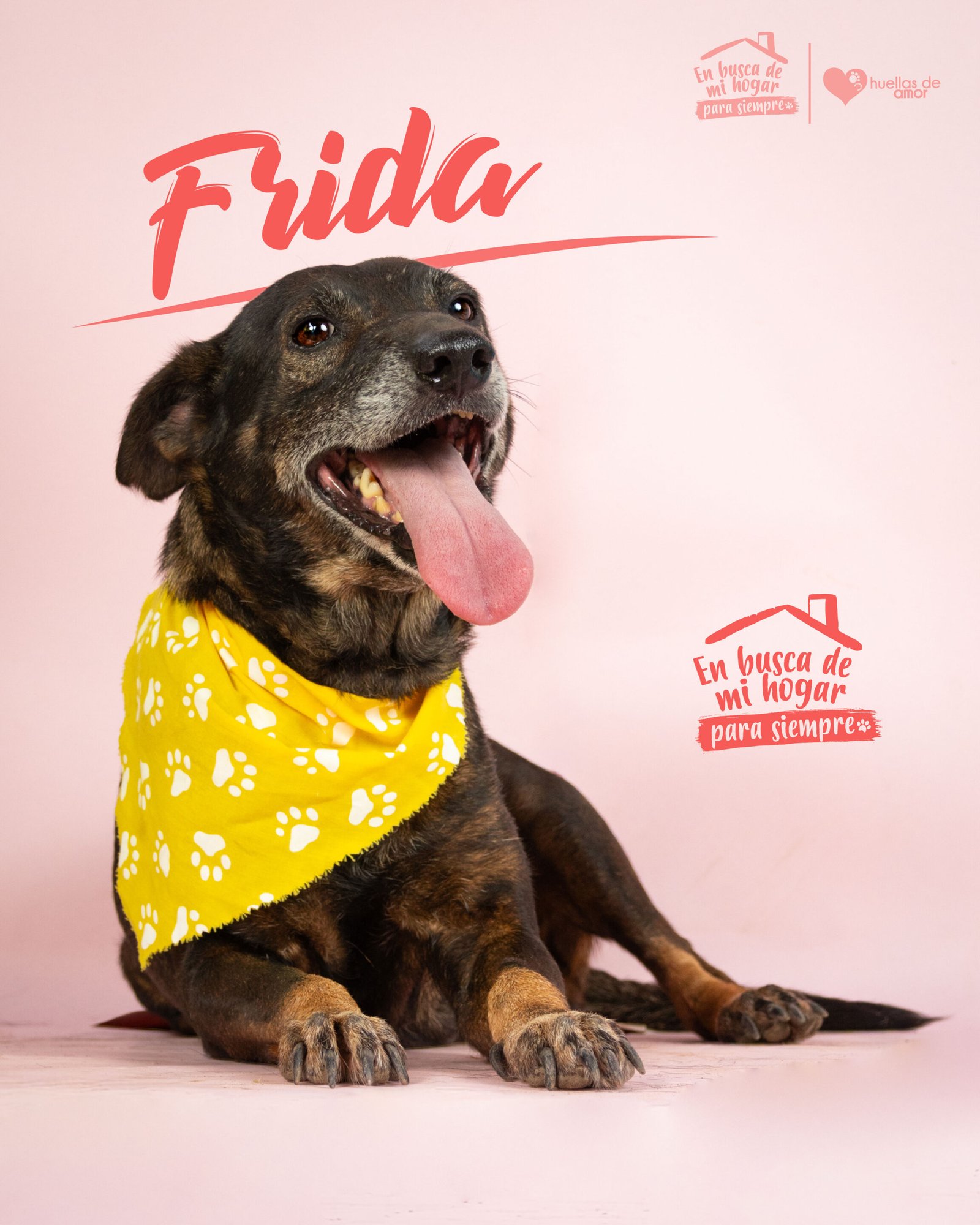 Frida
