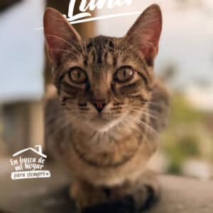 Luna